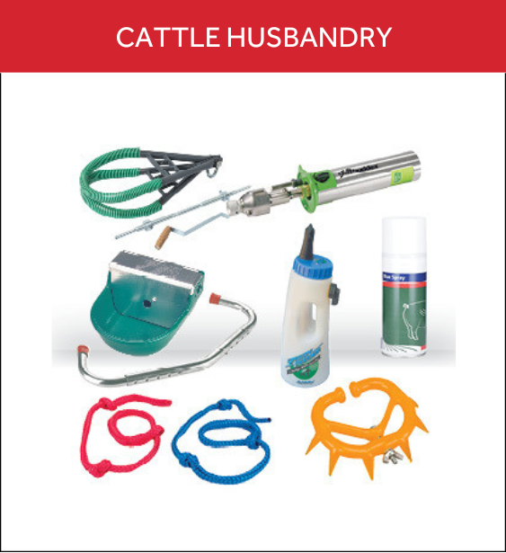 Cattle Husbandry